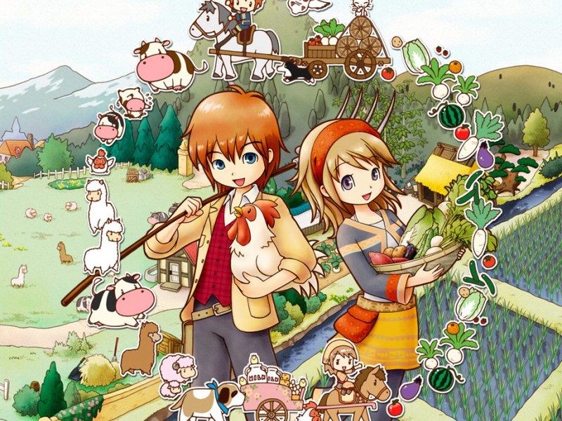 Review Harvest Moon Tale of Two&nbsp;Town